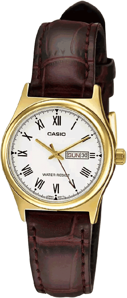 CASIO - A1009