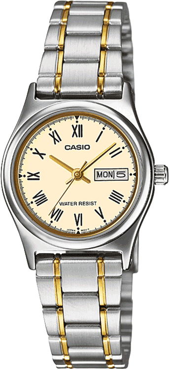 CASIO - A1011