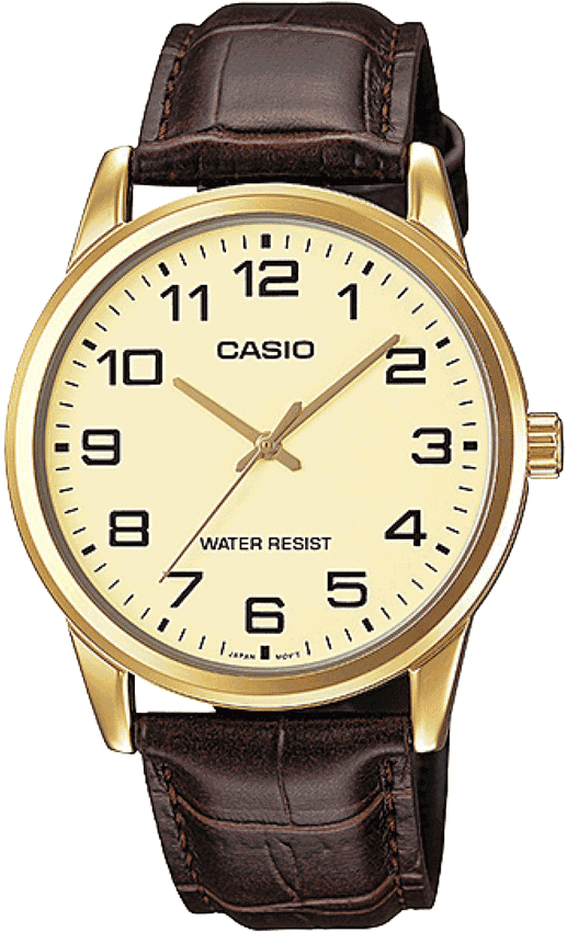 CASIO - A1086
