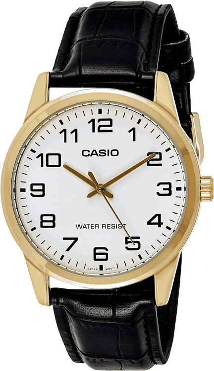 CASIO - A1085