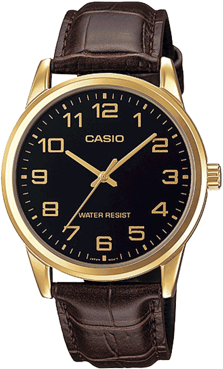 CASIO - A1084