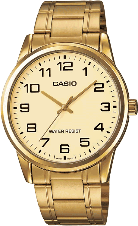 CASIO - A1083
