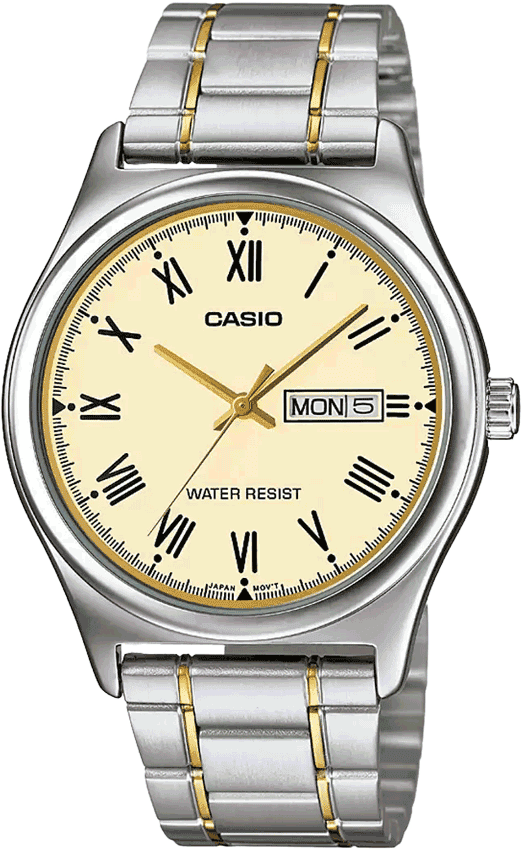 CASIO - A1018
