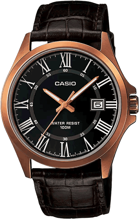CASIO - A1006