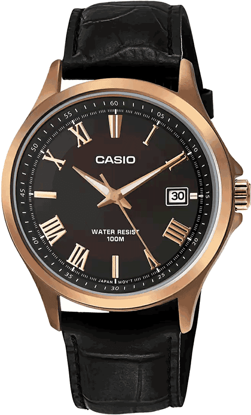 CASIO - A1004