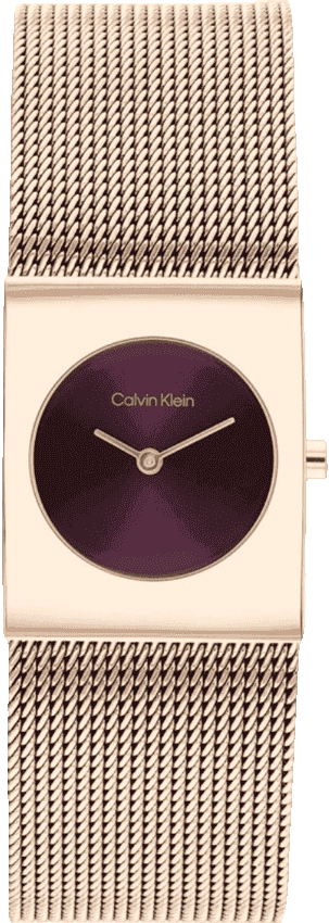 CALVIN KLEIN - 25100137